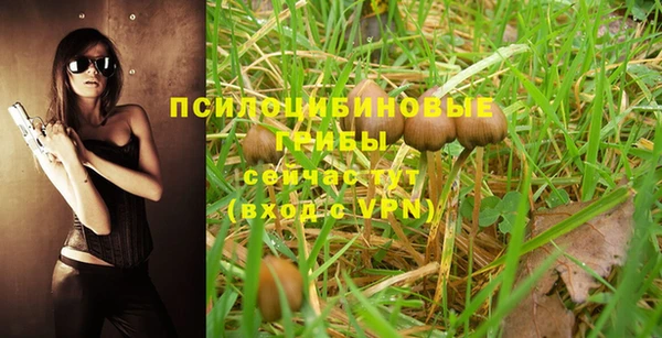 стафф Белоозёрский