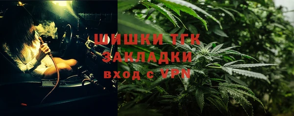 мяу мяу мука Белокуриха
