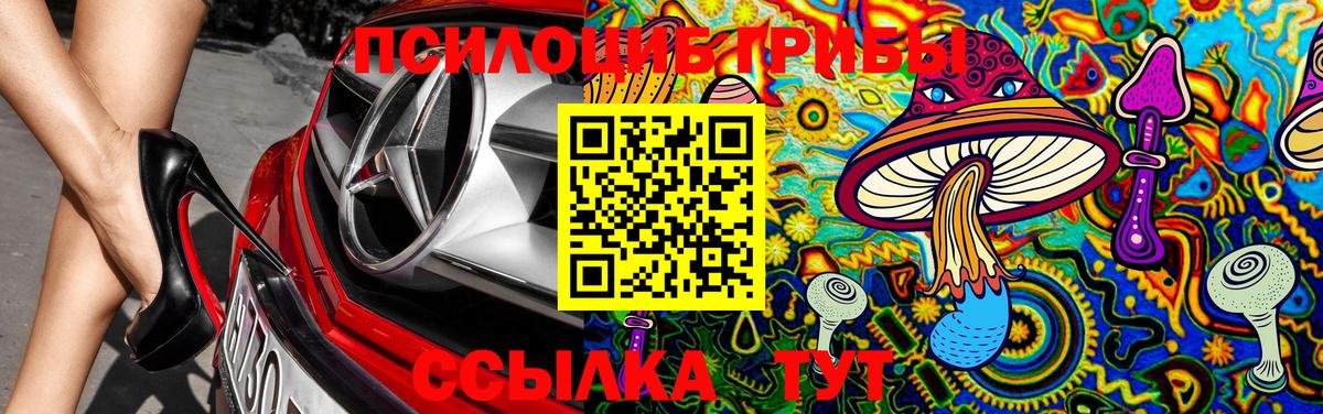 Псилоцибиновые грибы Psilocybe Горячий Ключ